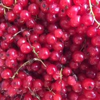 Avointa kesätoimintaa lapsiperheille Avointa kesätoimintaa lapsiperheille